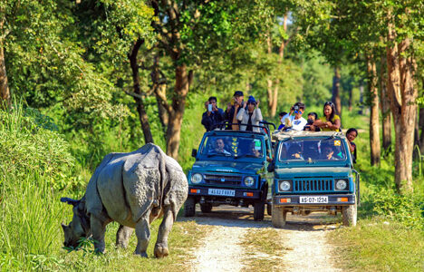 Golden-Triangle-Package-with-Khajuraho-&-Kaziranga