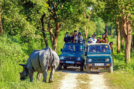 Golden Triangle Package with Khajuraho & Kaziranga