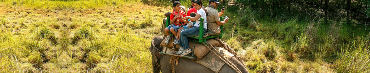 bandhavgarh-national-park-blog2