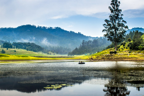 Mysore & Ooty Vacation Package