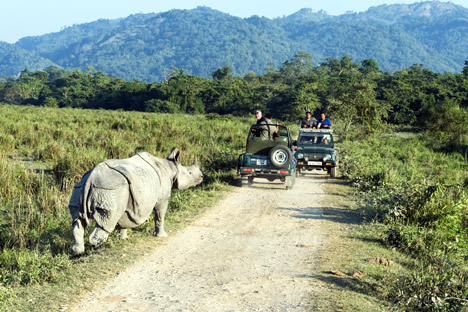 Northeast India Vacation Package with Guwahati & Kaziranga