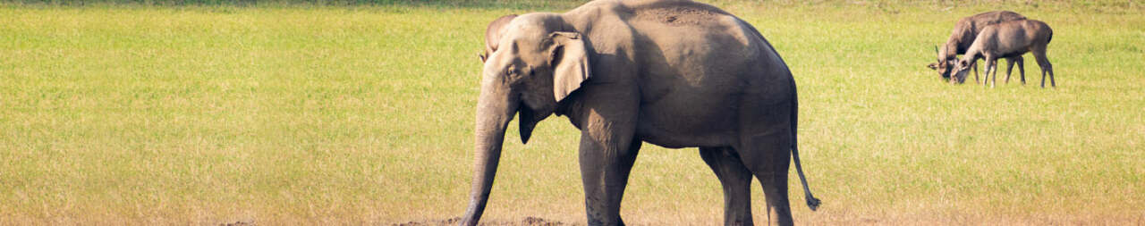 periyar-national-blog