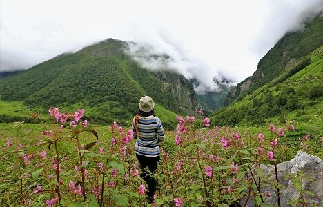 Explore valley of flowers