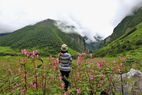Uttarakhand Vacation Package with Valley of Flowers