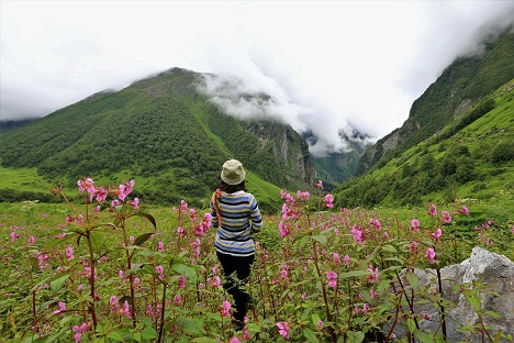 Explore valley of flowers