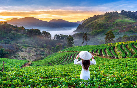 Darjeeling