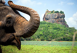 Sri Lanka Vacation Package:Heritage & Beaches