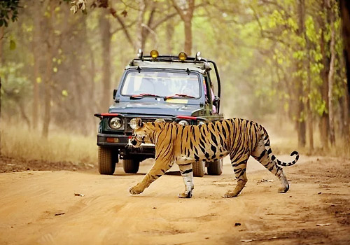 Ranthambore-National-Park